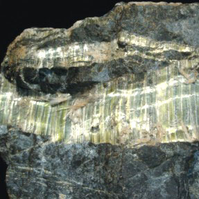 Chrysotile